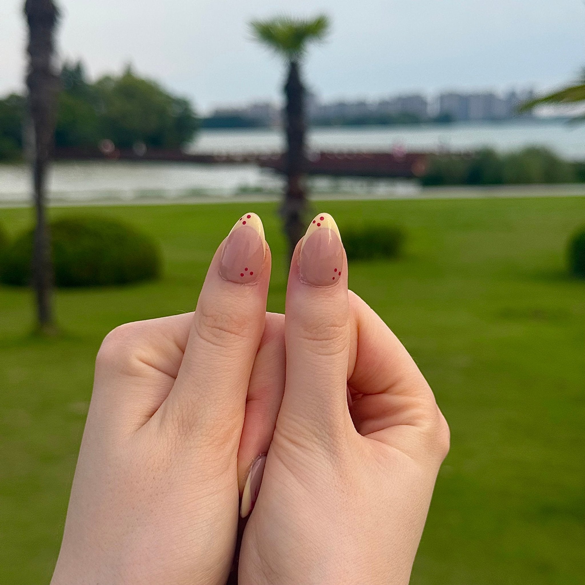 Cherry Bloom | 3D Handmade Reusable Press-on Nails | CLAWSIE Nails